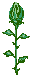 Avatar do Utilizador