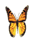 Avatar do Utilizador