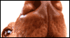 Avatar do Utilizador
