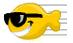 Avatar do Utilizador