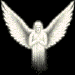 Avatar do Utilizador
