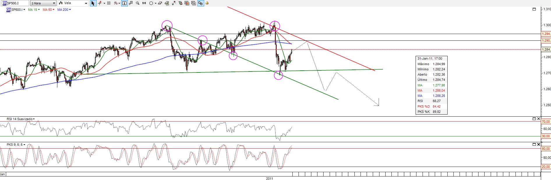 SP500-31-01-2011.jpg