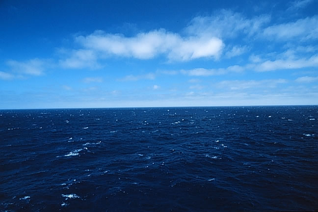 mar2.jpg