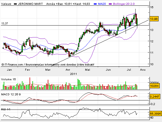 JMT BULL.bmp