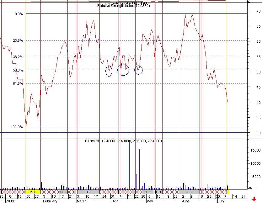 Image19.gif