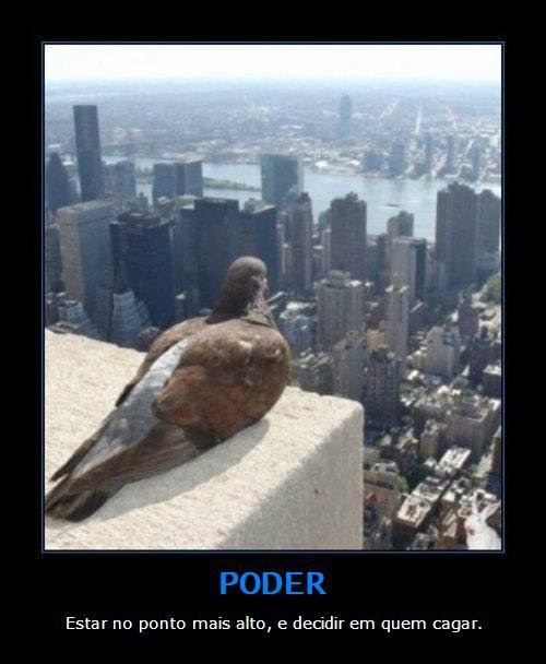 Poder11.jpg