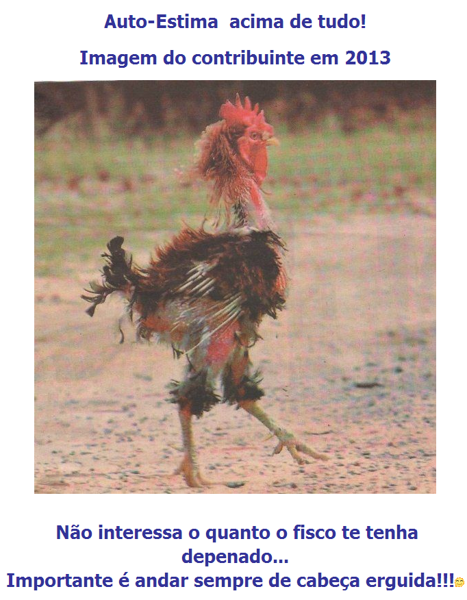 imagem do contribuinte!.png