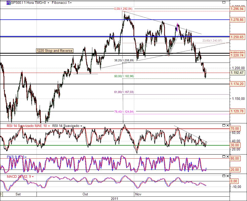 SP500 21-11-2011.gif