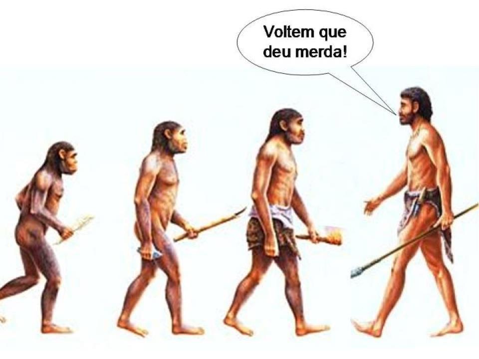 voltem.jpg