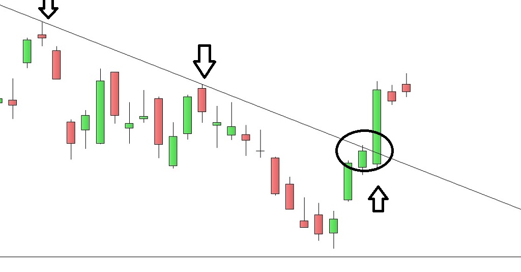 dax_ltd.jpg