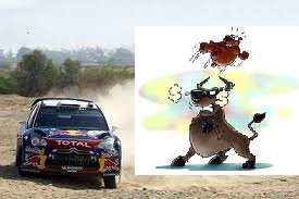 rallye bull.jpg
