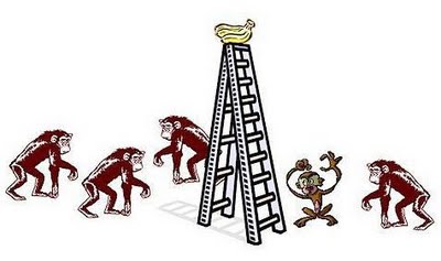 macacos na escada.JPG