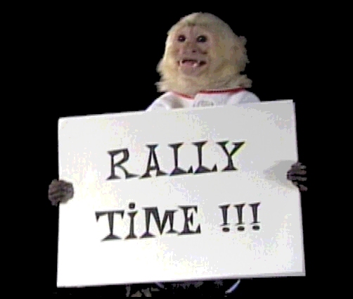 rallymonkey1.jpg
