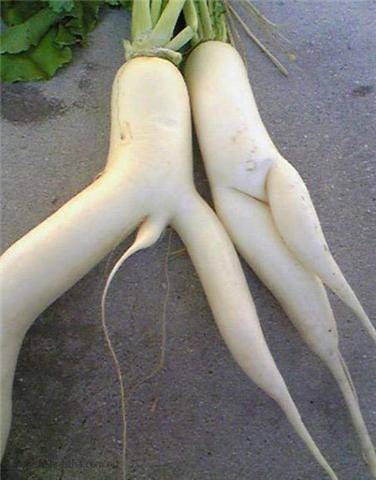 image002.jpg