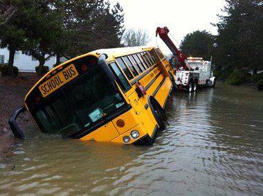 bus.jpg