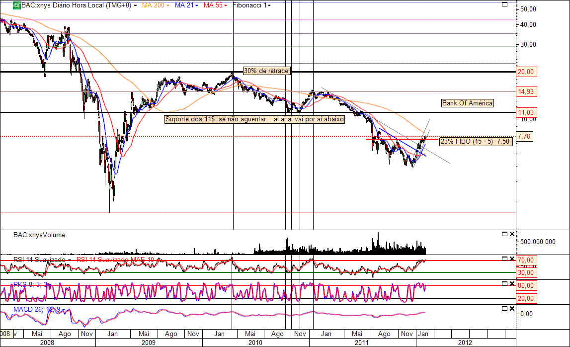 BAC Big Picture  03-02-2012(D).gif