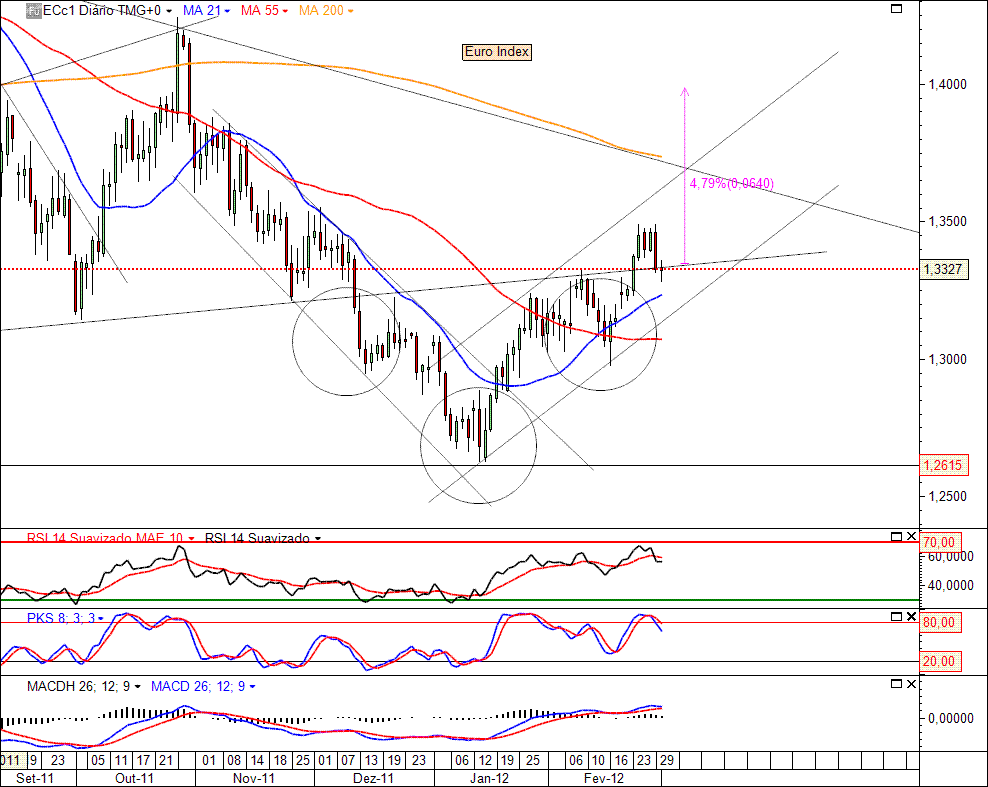 Euro Index 01-03-2012(D).gif