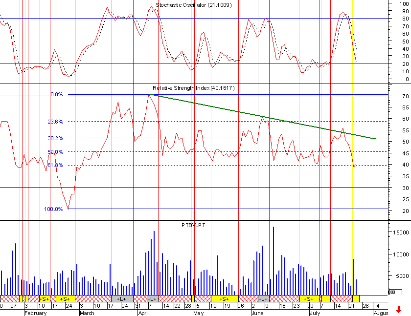 Image19.gif