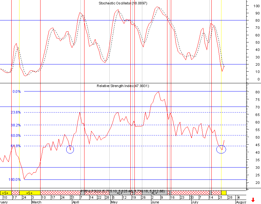 Image7.gif