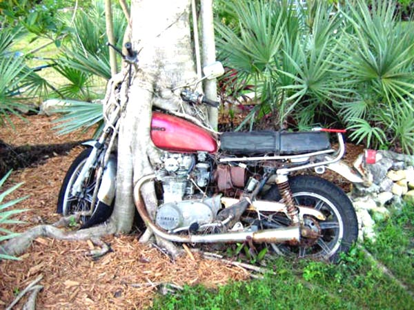 moto.png