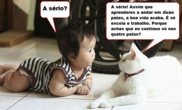 a vida acaba.jpg