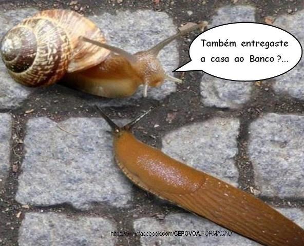 Efeitos da crise !!!.jpg