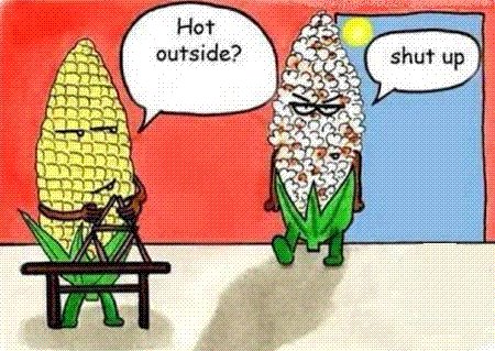 corn.jpg