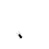 57c457c84e04ef7c327f6.gif