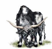 touro01.gif