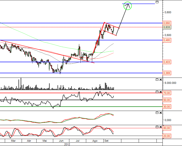 Sonae 20-09-2012 Bull Flag.png