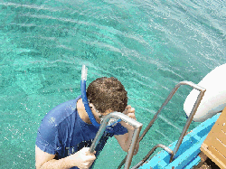 DSC00089.gif