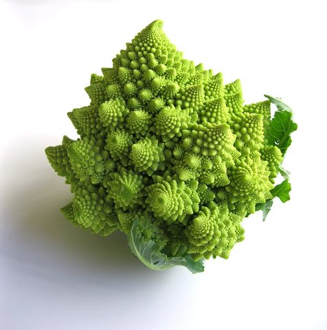 553578_215420188583469_341115429_n.jpg