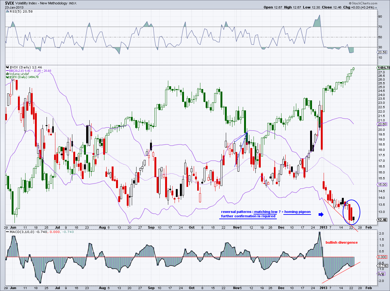 vix - daily chart   23-1-13.png