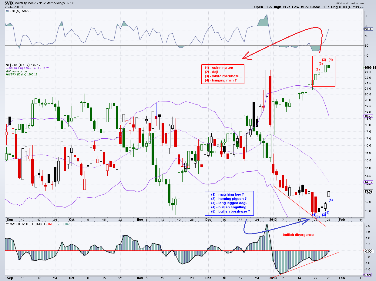 vix - daily chart   28-1-13.png