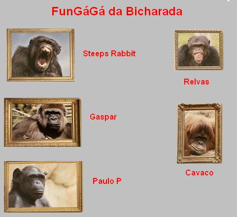 fungaga.JPG