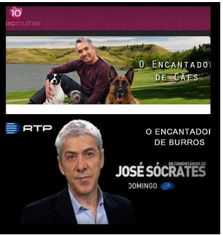 socas.jpg