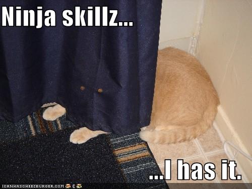 ninja-cat.jpg