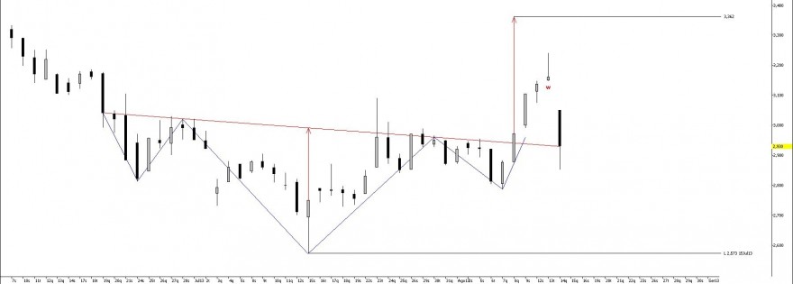 PTC_D_2013-08-14.jpg