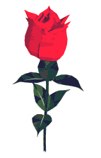 rosa13[1].gif