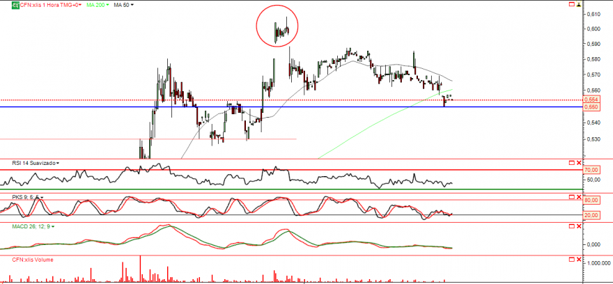 cofina 15 11 2013 horario.png