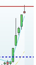 doji1.jpg