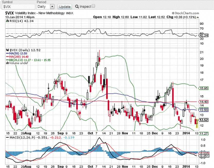 VIX 13-Jan.2014.GIF