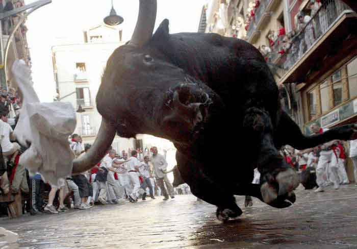 Bull.jpg