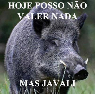 javali.PNG