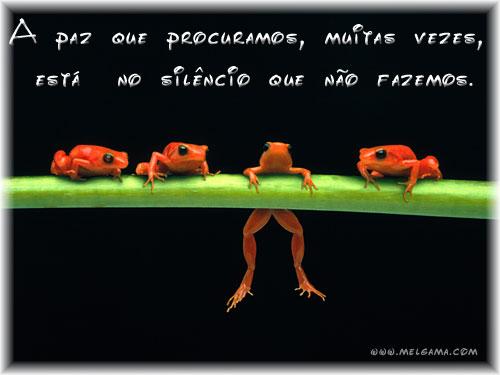 sapos.JPG
