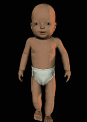 bebe61[1].gif