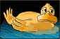 pato11[1].gif