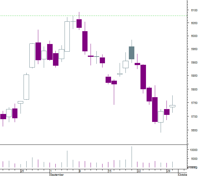 ceci n'est pas une bear flag.png