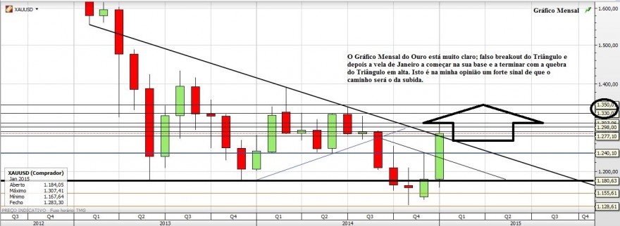 Gráfico20150131_4.JPG