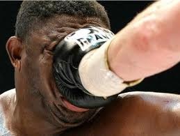 murro no focinho.jpg